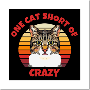 One Cat Short of Crazy Posters and Art